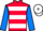 Jockey Silk colours