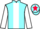Jockey Silk colours