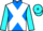 Jockey Silk colours