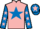 Jockey Silk colours