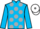 Jockey Silk colours