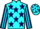 Jockey Silk colours