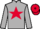Jockey Silk colours