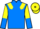 Jockey Silk colours
