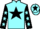 Jockey Silk colours
