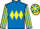Jockey Silk colours