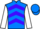 Jockey Silk colours