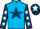 Jockey Silk colours