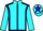 Jockey Silk colours