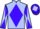 Jockey Silk colours