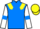 Jockey Silk colours