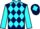 Jockey Silk colours