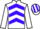 Jockey Silk colours
