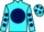 Jockey Silk colours