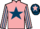 Jockey Silk colours