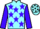 Jockey Silk colours