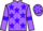 Jockey Silk colours