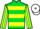 Jockey Silk colours