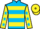 Jockey Silk colours