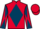 Jockey Silk colours