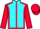 Jockey Silk colours