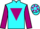 Jockey Silk colours