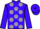 Jockey Silk colours
