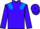 Jockey Silk colours