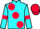 Jockey Silk colours
