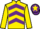 Jockey Silk colours