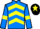 Jockey Silk colours