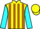 Jockey Silk colours