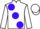 Jockey Silk colours