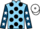 Jockey Silk colours
