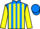Jockey Silk colours
