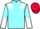Jockey Silk colours