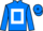 Jockey Silk colours