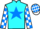 Jockey Silk colours