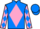 Jockey Silk colours