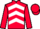 Jockey Silk colours