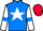 Jockey Silk colours