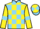 Jockey Silk colours