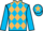 Jockey Silk colours