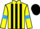 Jockey Silk colours