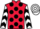 Jockey Silk colours