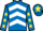 Jockey Silk colours