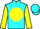 Jockey Silk colours