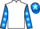 Jockey Silk colours