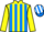 Jockey Silk colours
