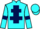 Jockey Silk colours